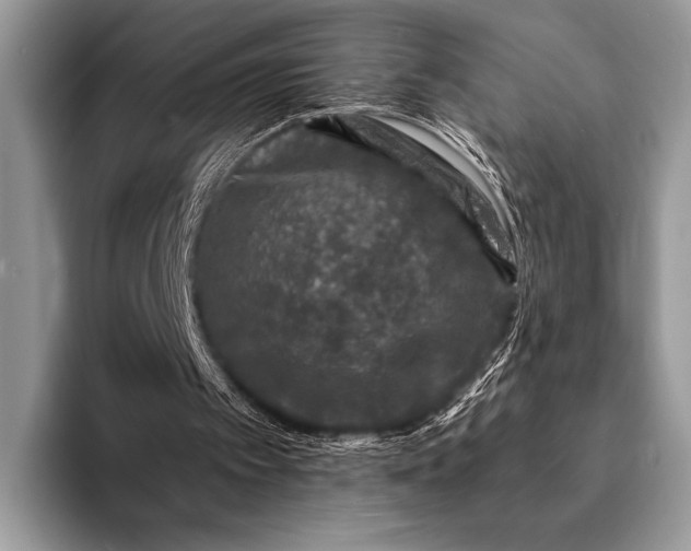 X0000093160097200710171217