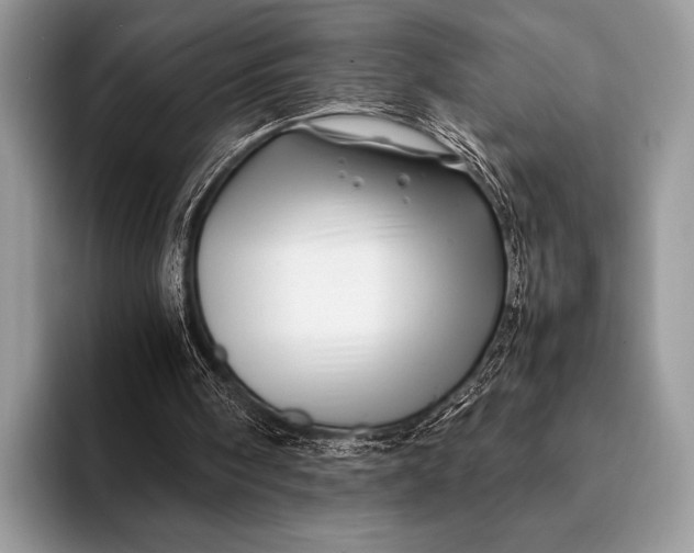 X0000093160098200710171217