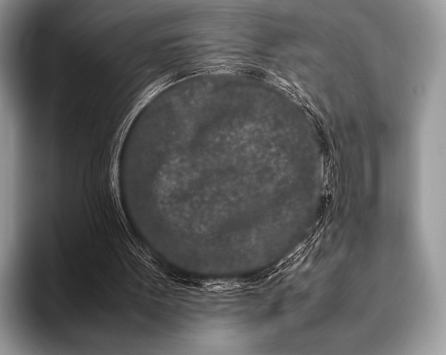 X0000093160099200710171217