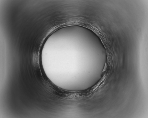X0000093160100200710171217