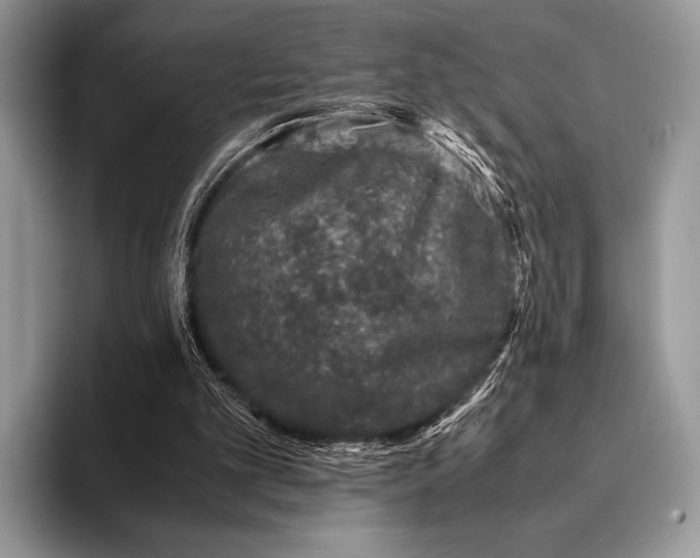 X0000093160101200710171217