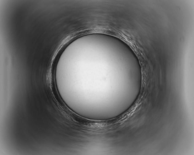 X0000093160102200710171217