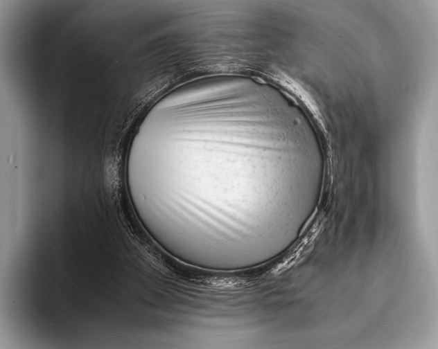 X0000093160105200710171217