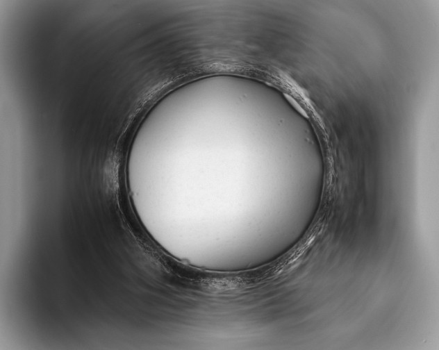 X0000093160106200710171217