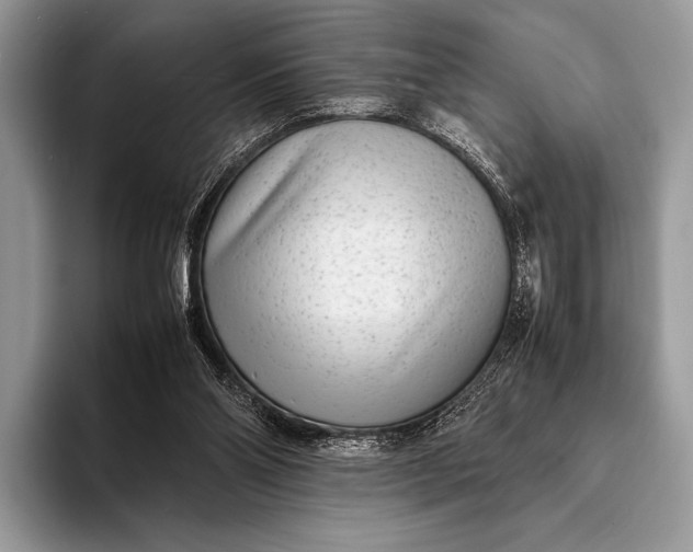 X0000093160110200710171217