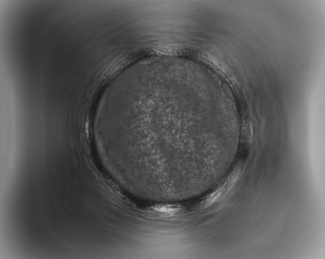 X0000093160117200710171217