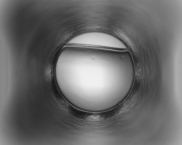 X0000093160119200710171217