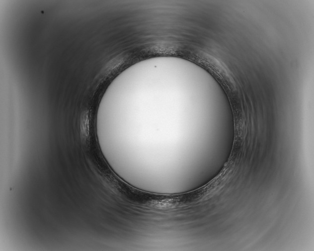 X0000093160120200710171217