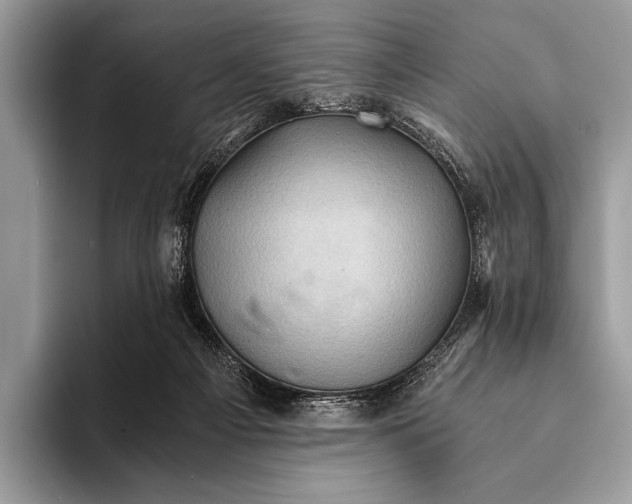 X0000093160121200710171217
