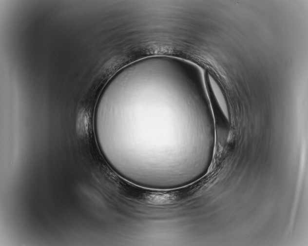 X0000093160123200710171217