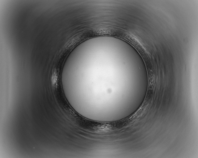 X0000093160124200710171217