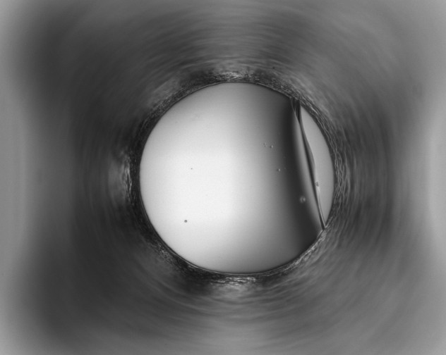 X0000093160128200710171217