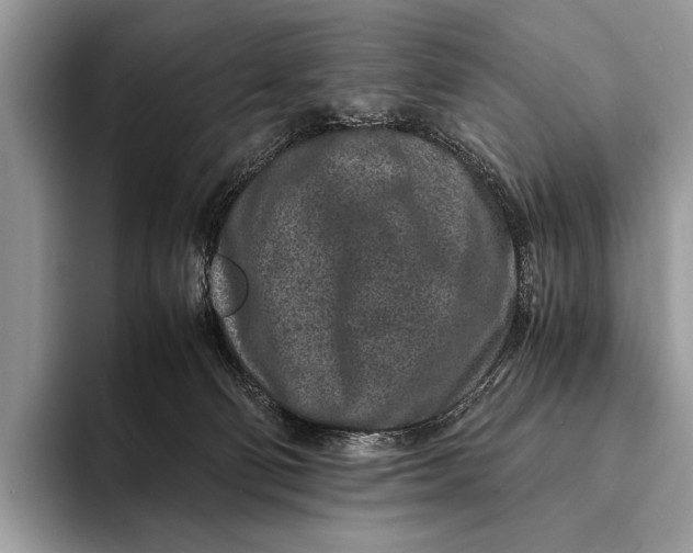 X0000093160130200710171217