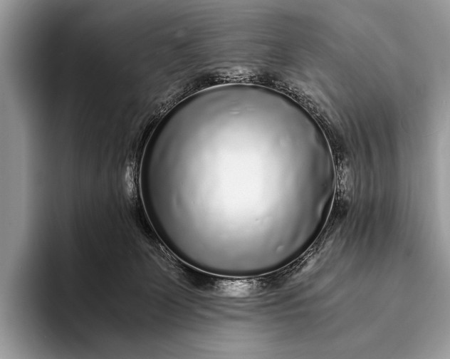 X0000093160131200710171216