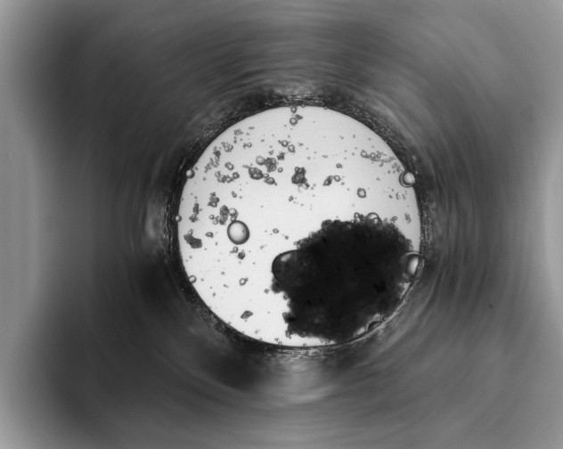 X0000093160136200710171216
