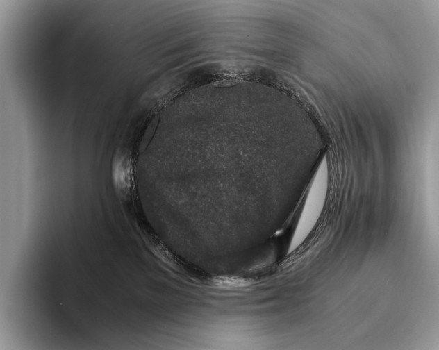 X0000093160137200710171216