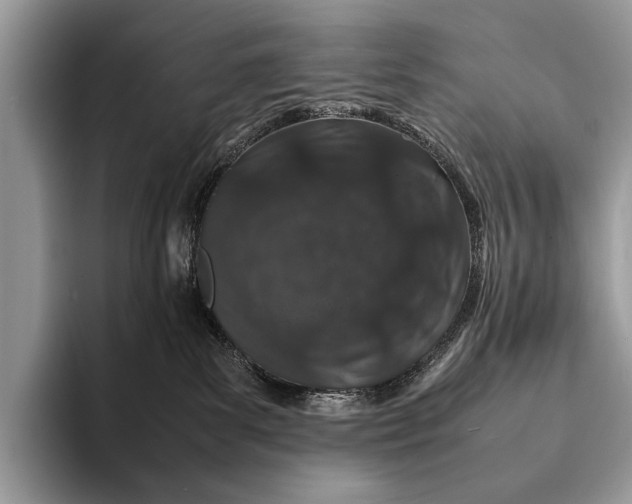X0000093160139200710171216