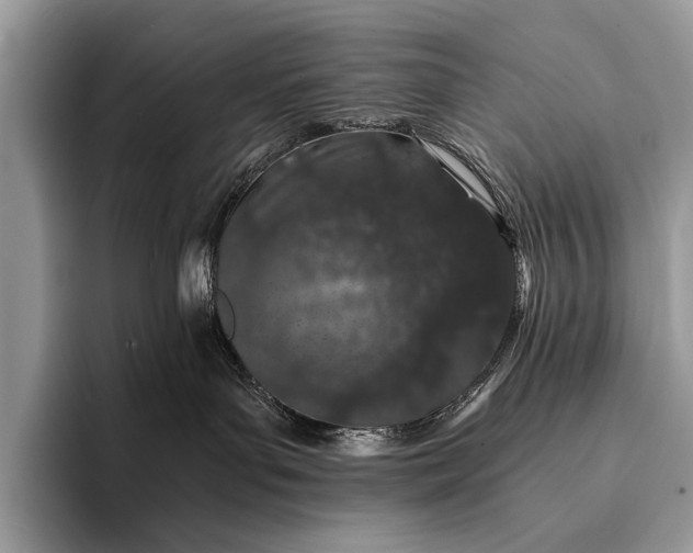 X0000093160143200710171216