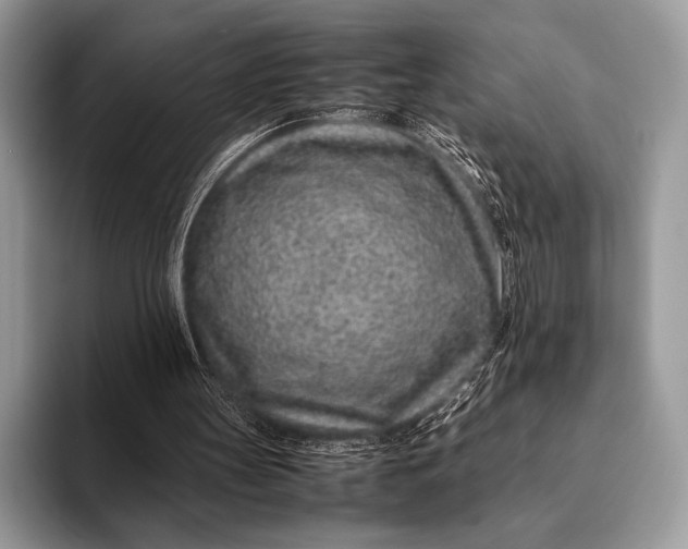 X0000093160147200710171216