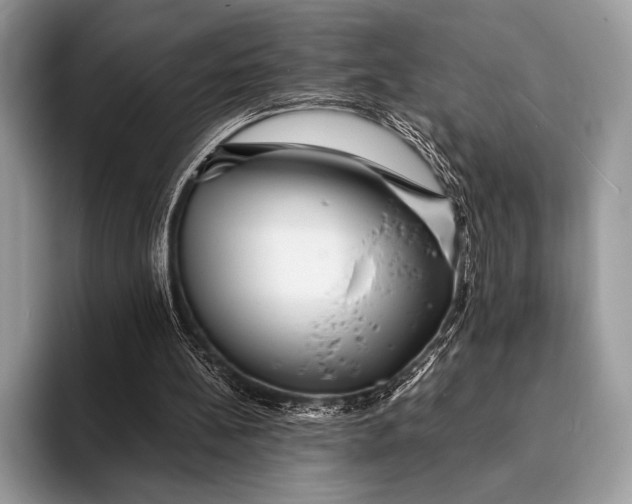 X0000093160148200710171216