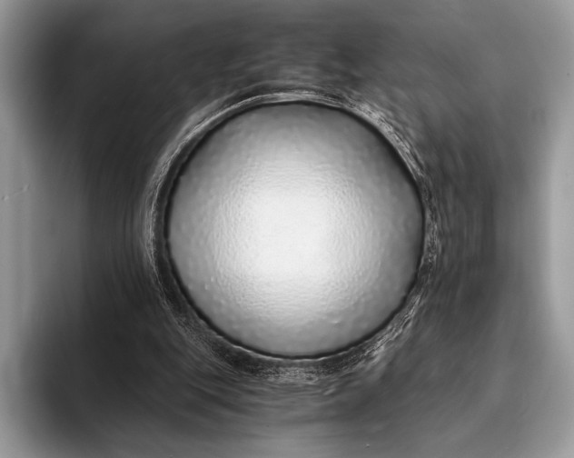 X0000093160151200710171216