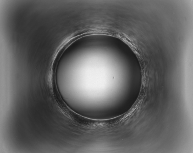 X0000093160152200710171216