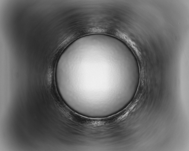 X0000093160153200710171216