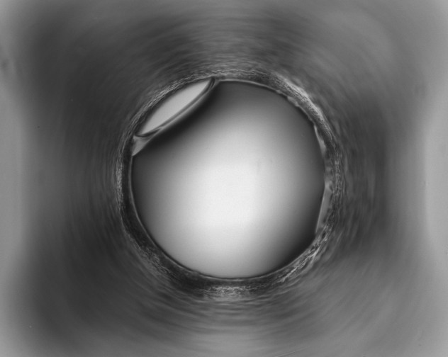 X0000093160154200710171216