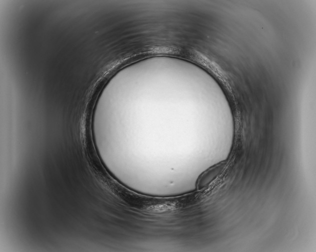 X0000093160155200710171216