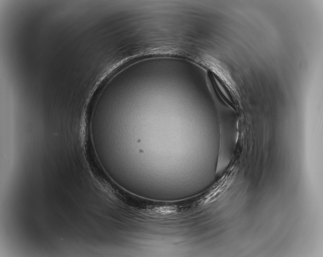 X0000093160156200710171216