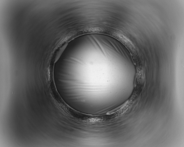 X0000093160158200710171216