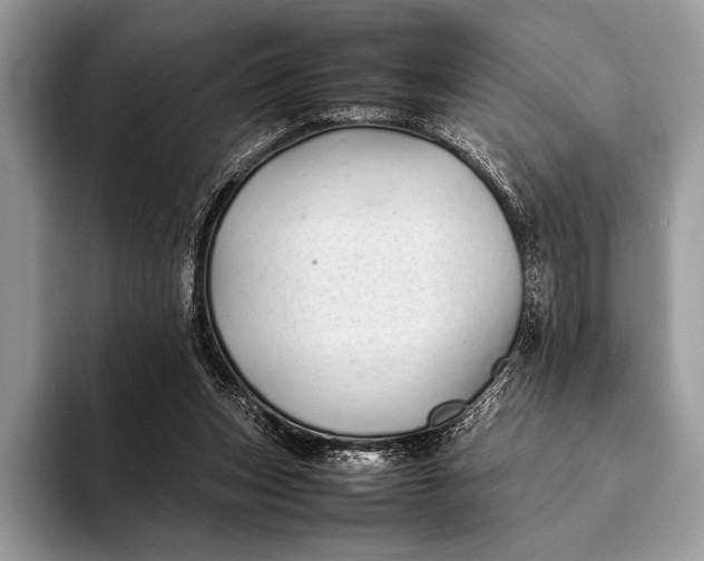 X0000093160159200710171216