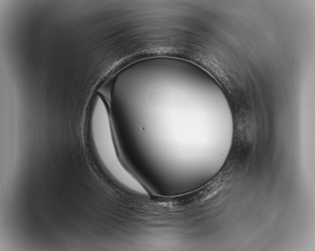 X0000093160160200710171216