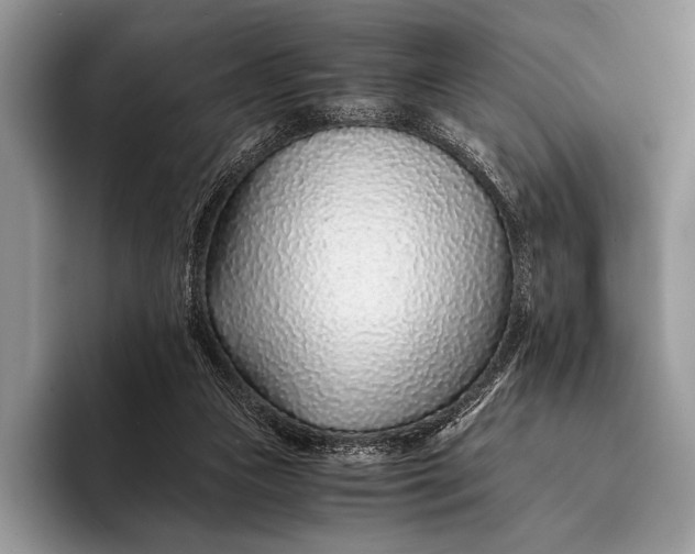 X0000093160161200710171216