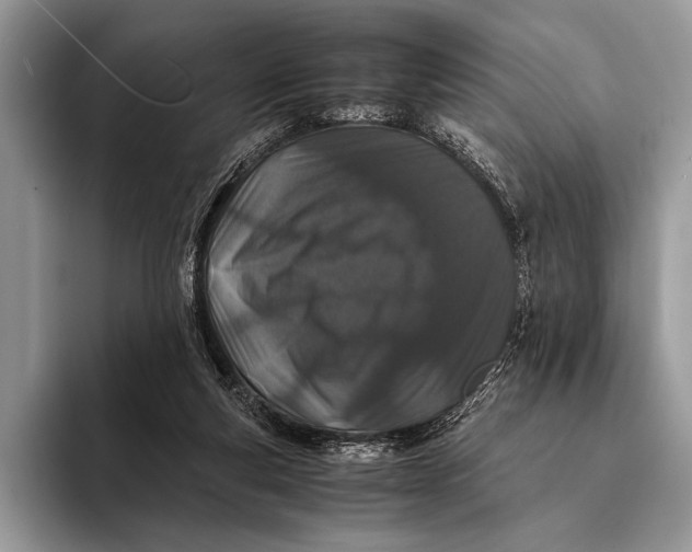 X0000093160163200710171216
