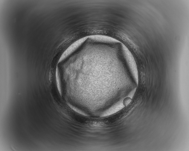 X0000093160165200710171216