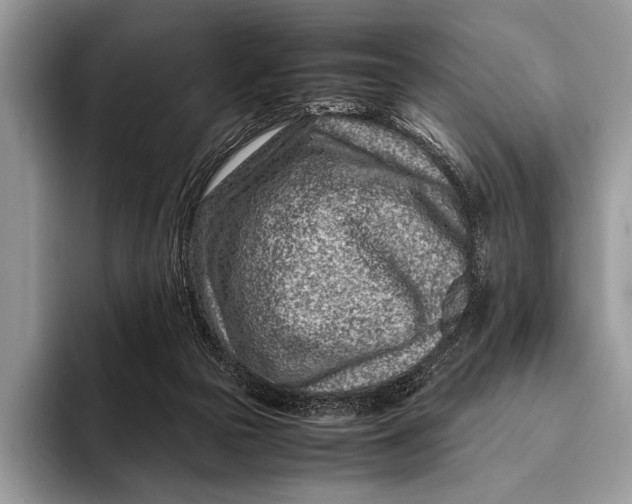 X0000093160169200710171216