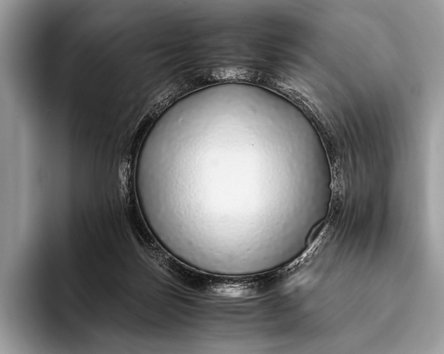 X0000093160171200710171216