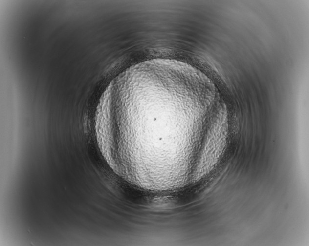 X0000093160173200710171216