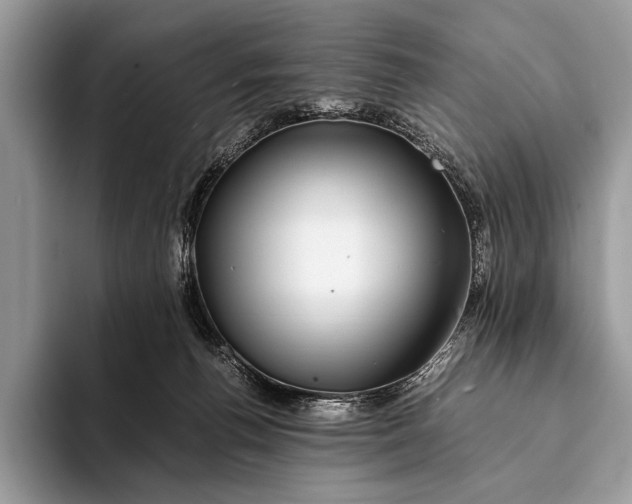 X0000093160176200710171216