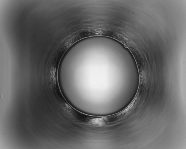 X0000093160178200710171216