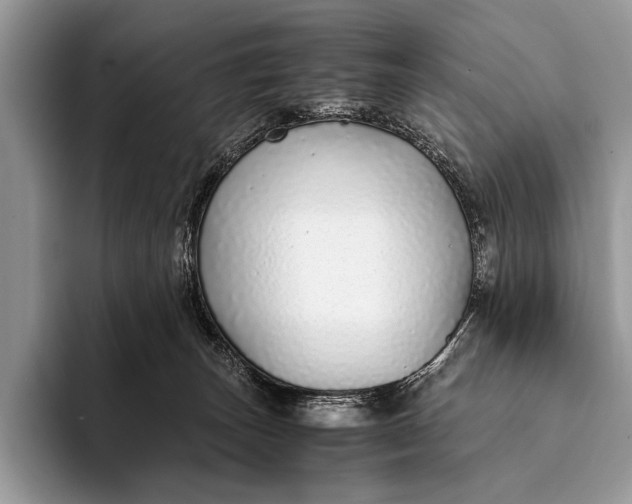 X0000093160179200710171216
