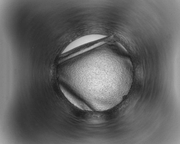 X0000093160181200710171216