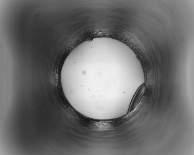 X0000093160183200710171216