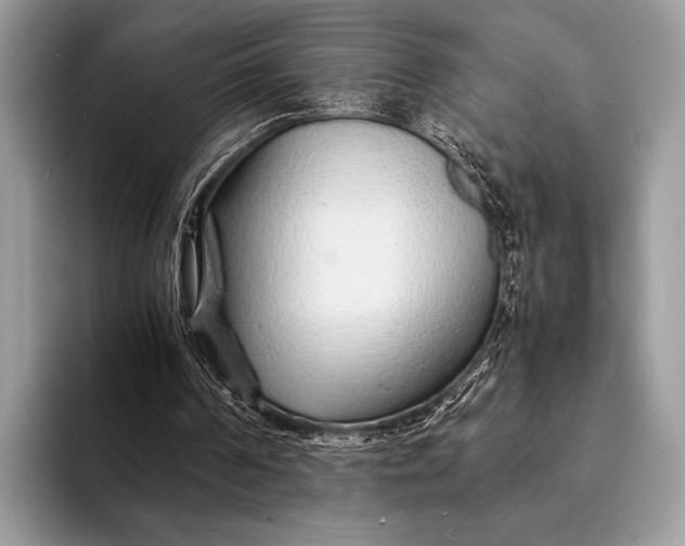 X0000093160194200710171216