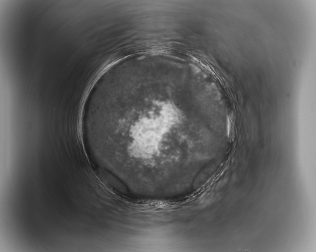 X0000093160195200710171216