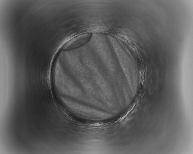 X0000093160196200710171216
