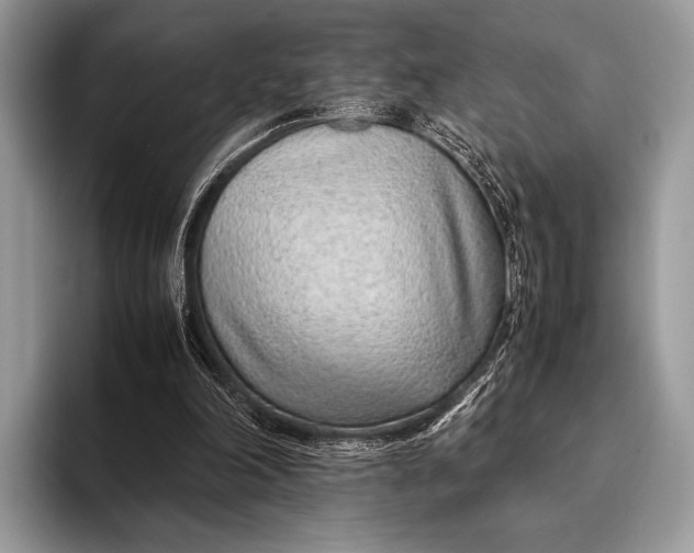 X0000093160198200710171216