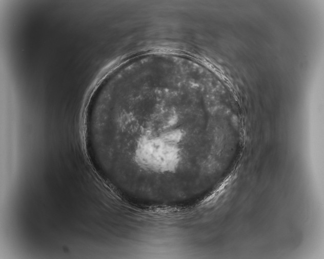 X0000093160199200710171216