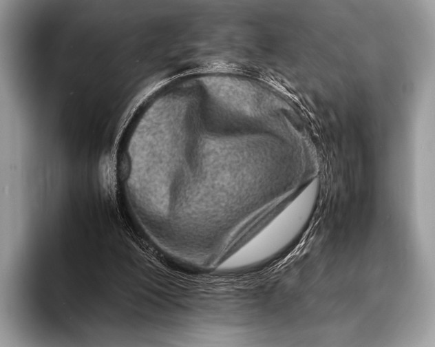 X0000093160200200710171216